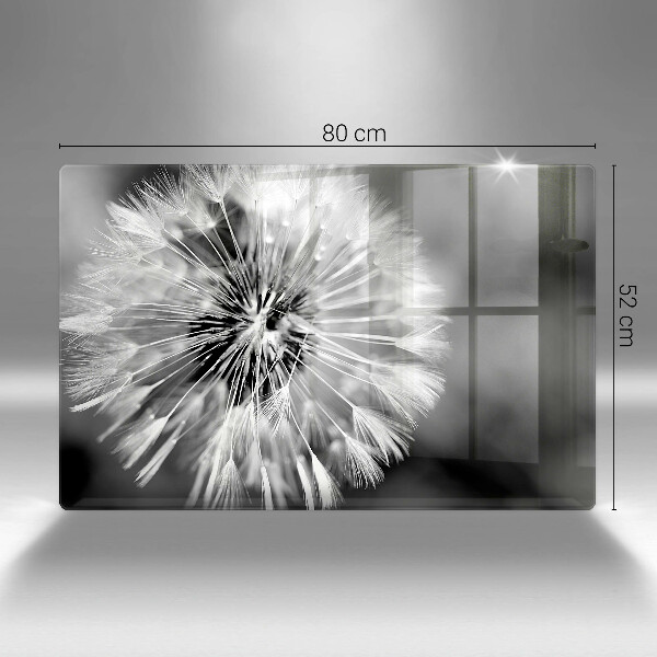 Placă sticla protectie aragaz O păpădie delicată