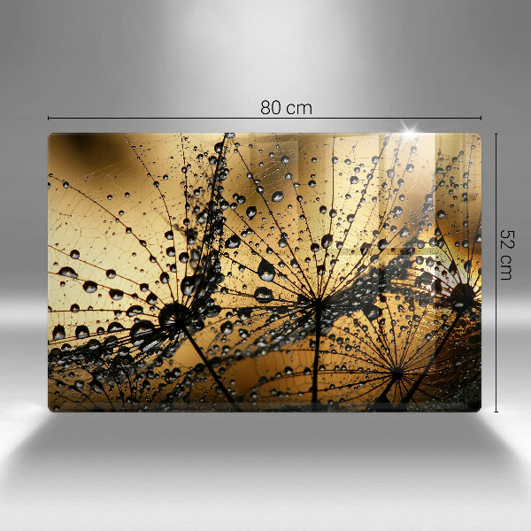 Placă sticla protectie aragaz Rouă și păpădie