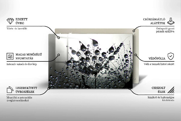 Placă sticla protectie aragaz Păpădie și rouă