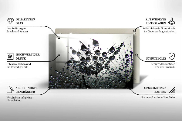 Placă sticla protectie aragaz Păpădie și rouă