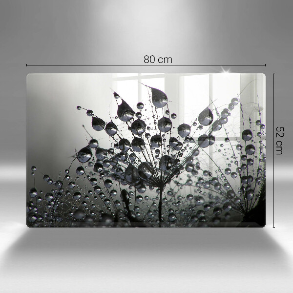 Placă sticla protectie aragaz Păpădie și rouă