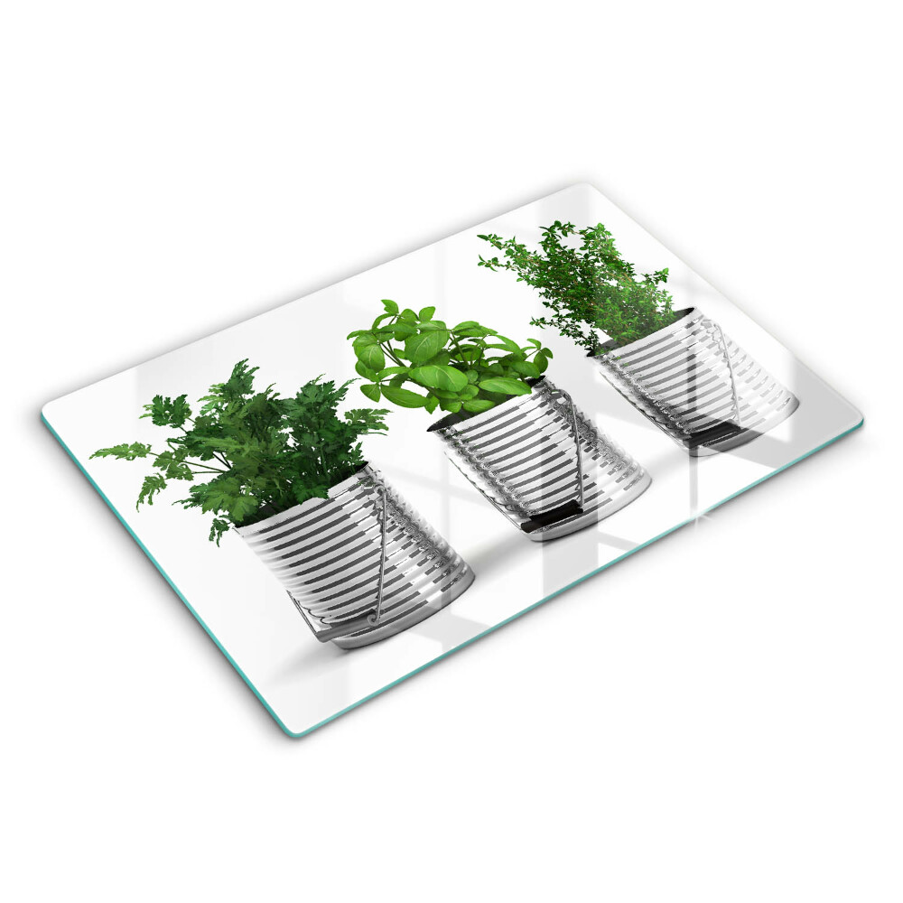 Placă sticla protectie aragaz Ghivece cu plante medicinale