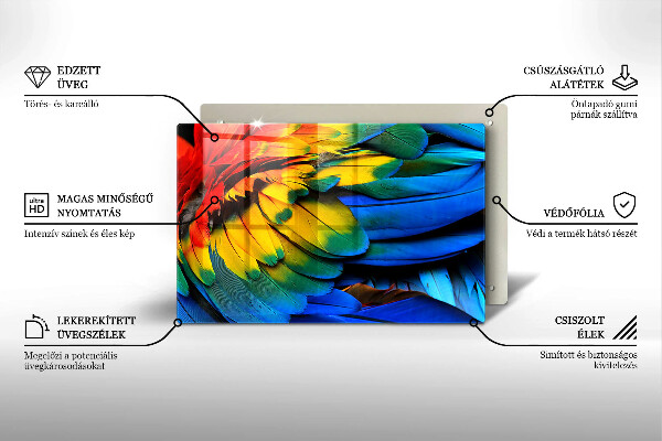 Placă sticla protectie aragaz Pene de papagal colorate