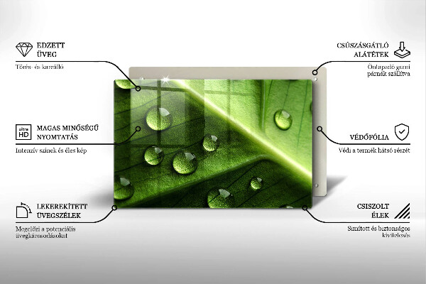 Placă sticla protectie aragaz Natură rouă și frunze