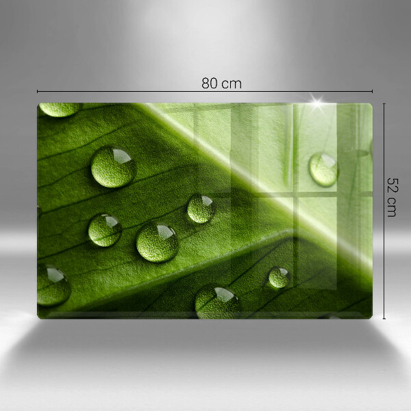 Placă sticla protectie aragaz Natură rouă și frunze