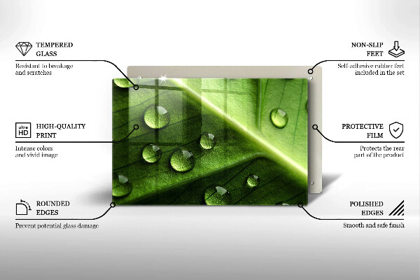 Placă sticla protectie aragaz Natură rouă și frunze