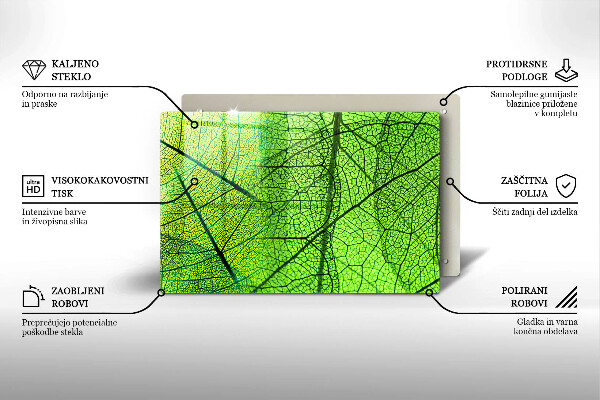 Placă din sticla protectie perete Venele frunzelor naturii