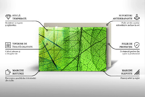 Placă din sticla protectie perete Venele frunzelor naturii