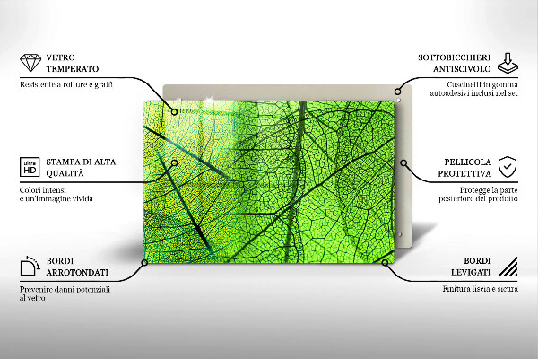 Placă din sticla protectie perete Venele frunzelor naturii