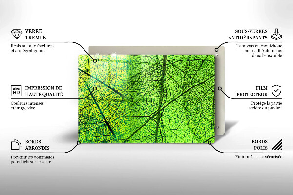 Placă din sticla protectie perete Venele frunzelor naturii