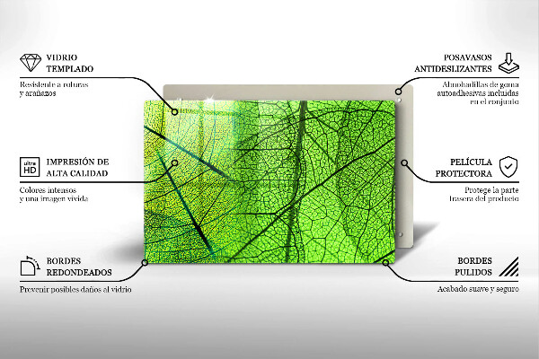 Placă din sticla protectie perete Venele frunzelor naturii