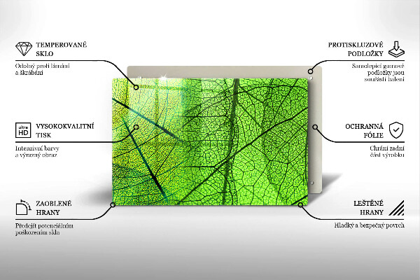 Placă din sticla protectie perete Venele frunzelor naturii