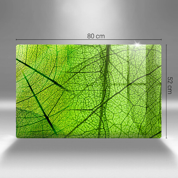 Placă din sticla protectie perete Venele frunzelor naturii