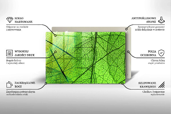 Placă din sticla protectie perete Venele frunzelor naturii