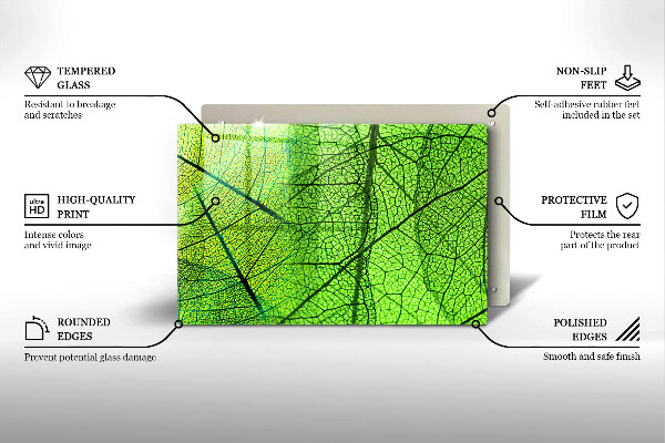 Placă din sticla protectie perete Venele frunzelor naturii