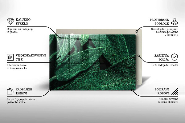 Placă din sticla protectie perete Frunzele plantei