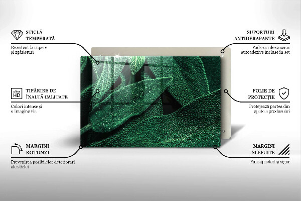 Placă din sticla protectie perete Frunzele plantei