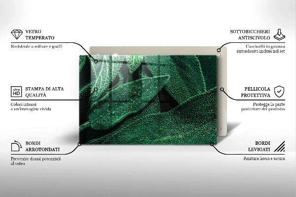 Placă din sticla protectie perete Frunzele plantei
