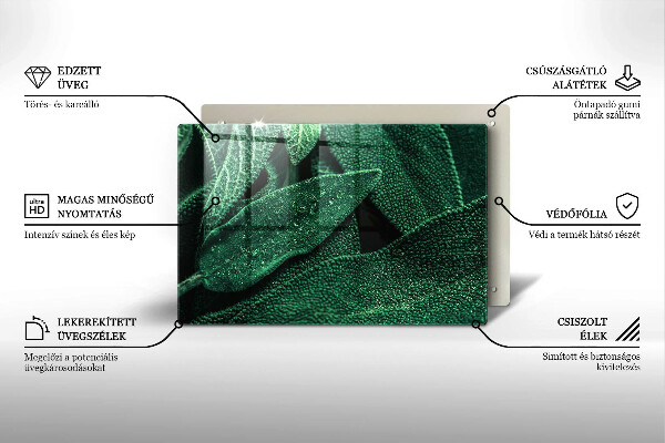 Placă din sticla protectie perete Frunzele plantei