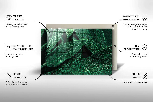 Placă din sticla protectie perete Frunzele plantei