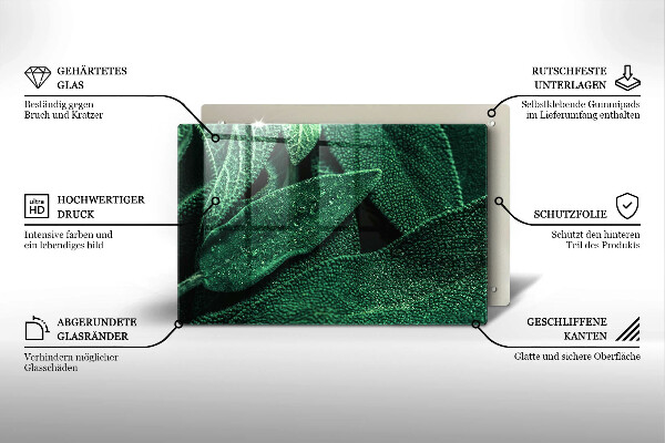 Placă din sticla protectie perete Frunzele plantei