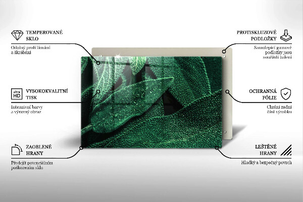 Placă din sticla protectie perete Frunzele plantei