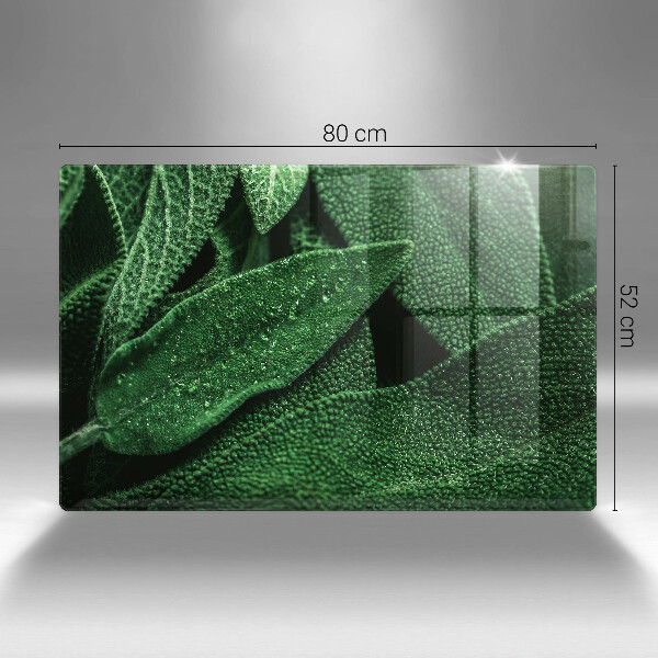 Placă din sticla protectie perete Frunzele plantei
