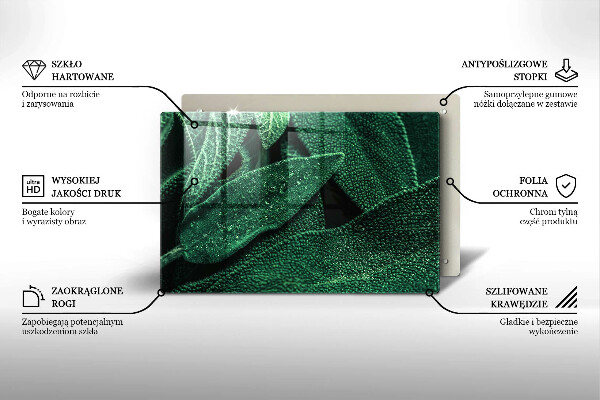 Placă din sticla protectie perete Frunzele plantei