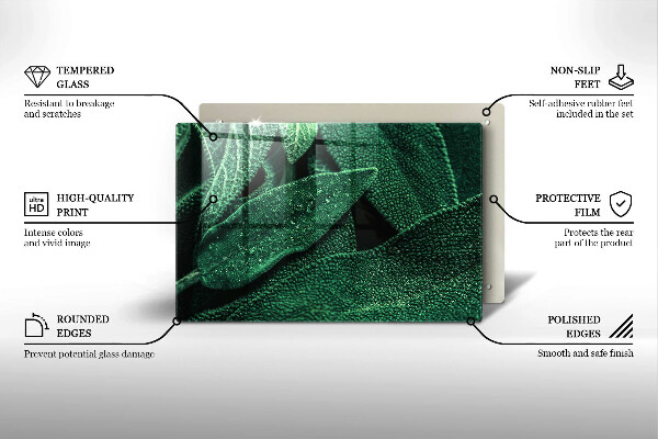 Placă din sticla protectie perete Frunzele plantei