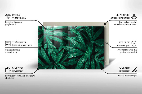 Placă din sticla protectie plita Frunze de plante