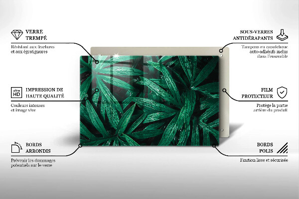 Placă din sticla protectie plita Frunze de plante