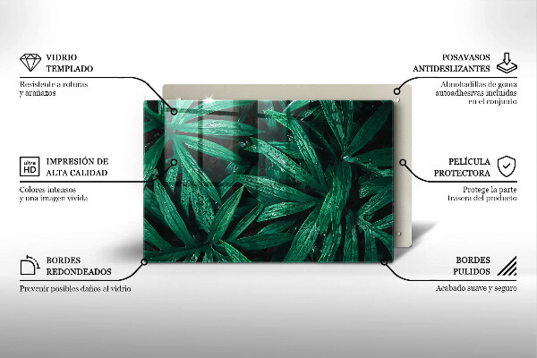 Placă din sticla protectie plita Frunze de plante