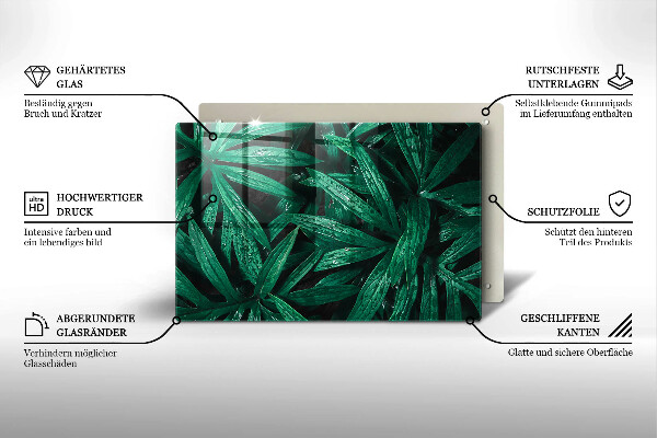 Placă din sticla protectie plita Frunze de plante