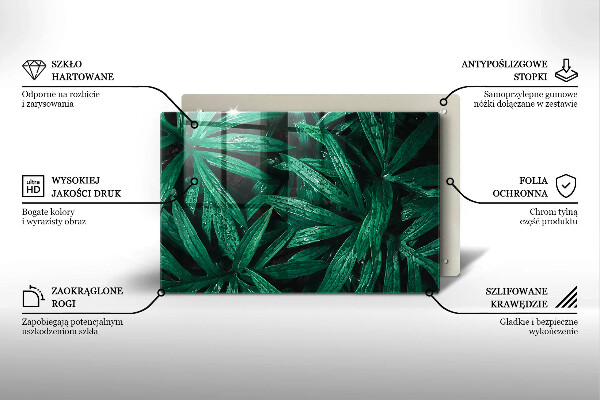 Placă din sticla protectie plita Frunze de plante