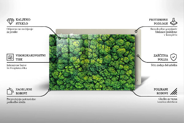 Placă din sticla protectie perete Plantă de muşchi din natură