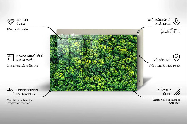 Placă din sticla protectie perete Plantă de muşchi din natură