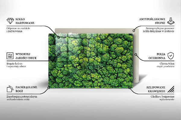 Placă din sticla protectie perete Plantă de muşchi din natură