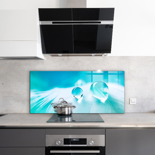 Panou sticlă bucătărie Roua pe pene delicate