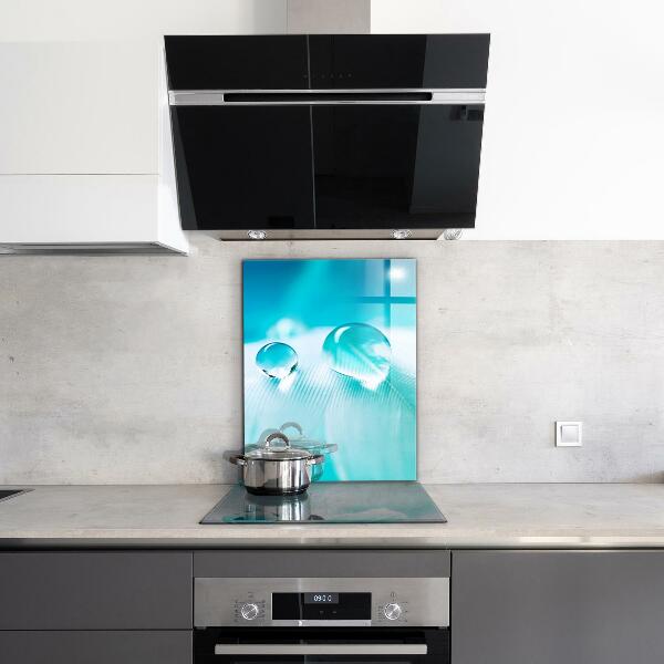 Panou sticlă bucătărie Roua pe pene delicate