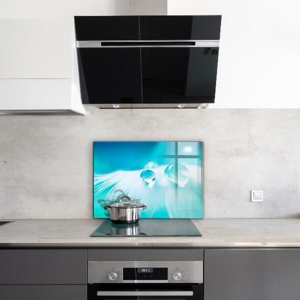 Panou sticlă bucătărie Roua pe pene delicate