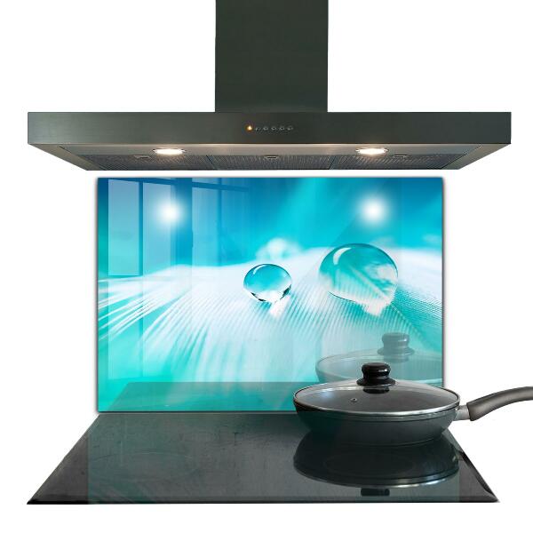 Panou sticlă bucătărie Roua pe pene delicate