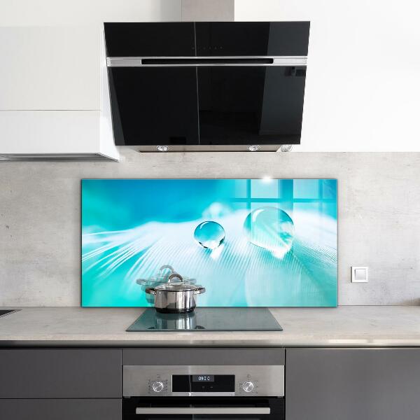 Panou sticlă bucătărie Roua pe pene delicate