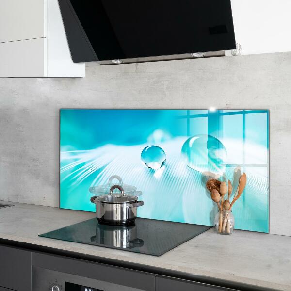 Panou sticlă bucătărie Roua pe pene delicate