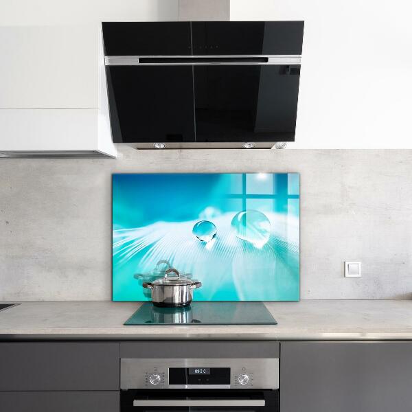 Panou sticlă bucătărie Roua pe pene delicate