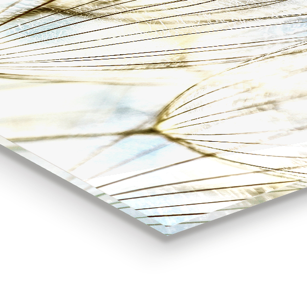 Sticlă printata bucătărie Păpădie păpădia în vânt