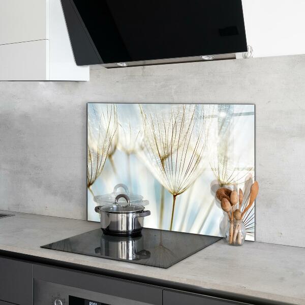 Sticlă printata bucătărie Păpădie păpădia în vânt