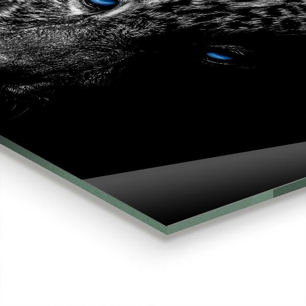 Sticlă bucătărie Pisica sălbatică pantera întunecată