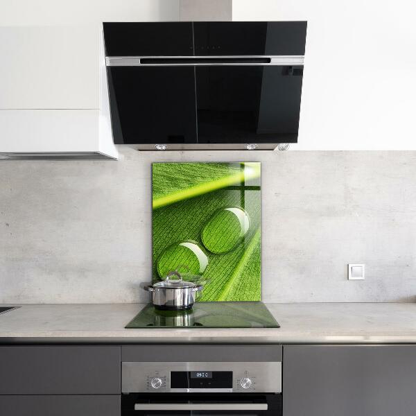 Sticlă bucătărie Picătură de rouă pe o frunză