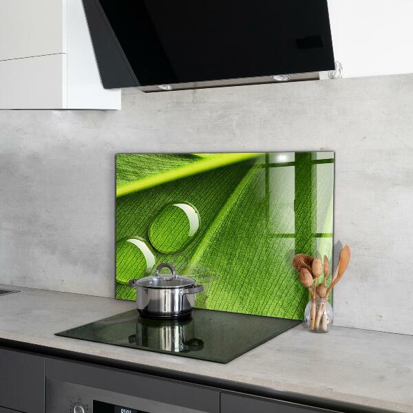 Sticlă bucătărie Picătură de rouă pe o frunză