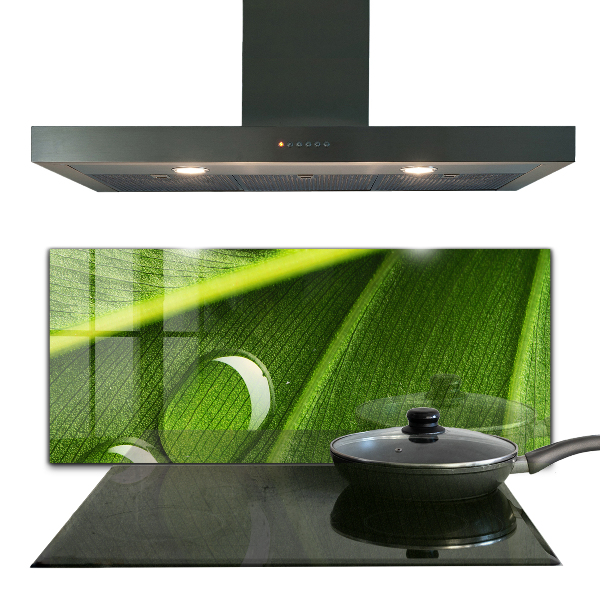 Sticlă bucătărie Picătură de rouă pe o frunză